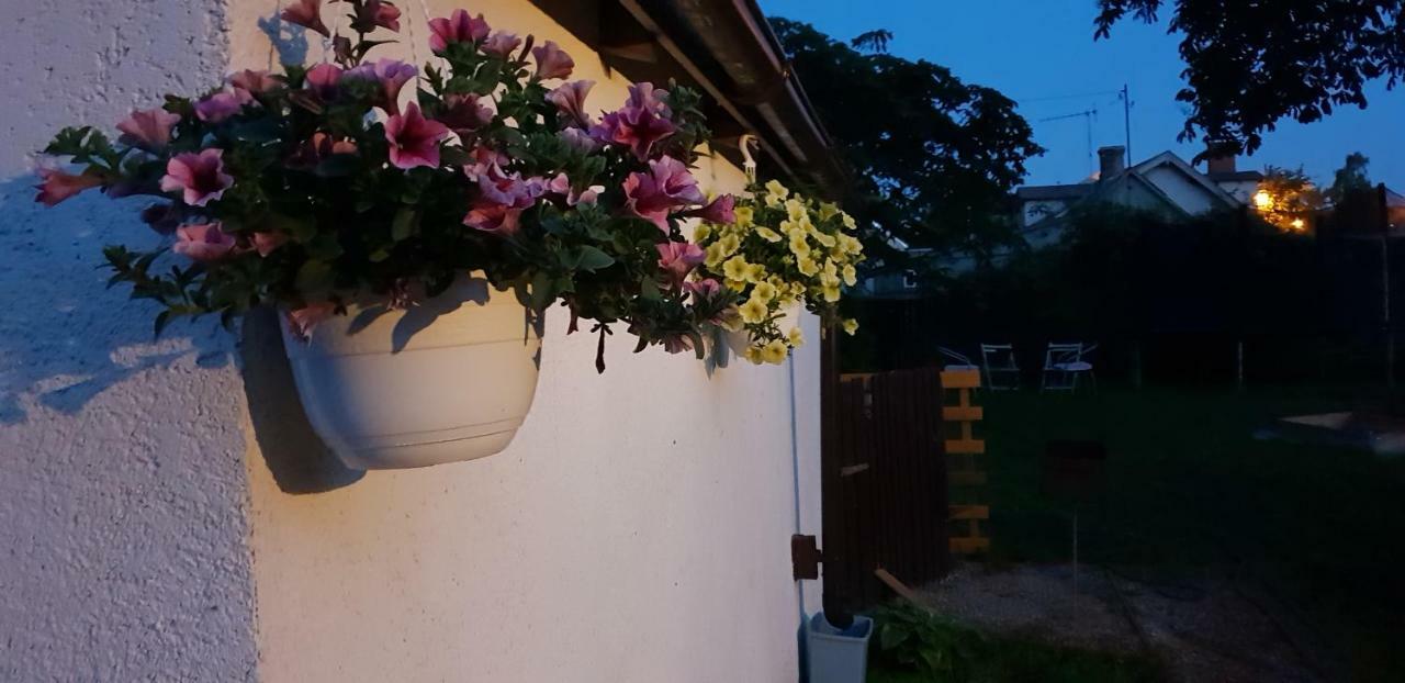Martin Guest House Ventspils Exterior photo